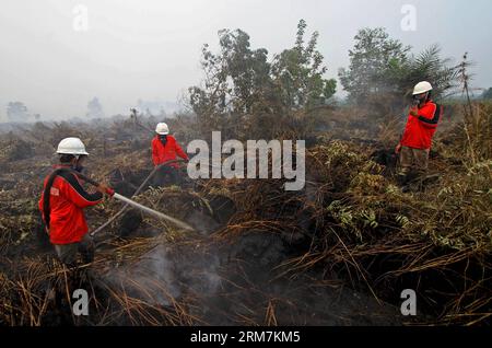 (140307) -- RIAU, 7. März 2014 (Xinhua) -- Feuerwehrleute löschen den Waldbrand in der Provinz Riau, Indonesien, 7. März 2014. Die Zahl der Menschen mit Atemwegserkrankungen steigt derzeit auf über 30.000 von mehr als 20.000 Mitte letzten Monats, da seit Februar dicker Smog auf der Insel Sumatra eintrifft, wie offiziell am 4. März gesagt wurde. (Xinhua/Chicarito) INDONESIA-RIAU-FOREST FIRE PUBLICATIONxNOTxINxCHN Riau 7. März 2014 XINHUA Firefighters Feuerlöscher das Waldfeuer in der Provinz Riau Indonesien 7. März 2014 die Zahl der Prominenten mit Atemwegsproblemen steigt IN Presen auf über 30 000 AN Stockfoto