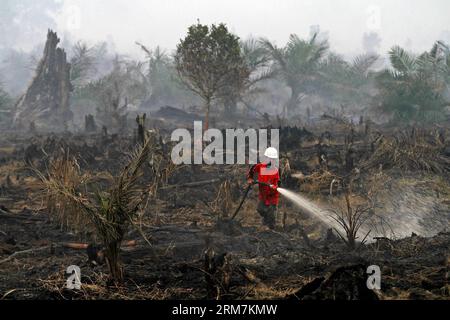 (140307) -- RIAU, 7. März 2014 (Xinhua) -- Ein Feuerwehrmann löscht den Waldbrand in der Provinz Riau, Indonesien, 7. März 2014. Die Zahl der Menschen mit Atemwegserkrankungen steigt derzeit auf über 30.000 von mehr als 20.000 Mitte letzten Monats, da seit Februar dicker Smog auf der Insel Sumatra eintrifft, wie offiziell am 4. März gesagt wurde. (Xinhua/Chicarito) INDONESIA-RIAU-FOREST FIRE PUBLICATIONxNOTxINxCHN Riau 7. März 2014 XINHUA A Fire Fighter löscht das Waldfeuer in der Provinz Riau Indonesien 7. März 2014 die Anzahl der Prominenten mit Atemwegsproblemen steigt auf über 30 000 AT Stockfoto