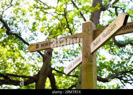 Hinweisschild North Downs Way in Chantry Wood, Surrey Hills, England Stockfoto