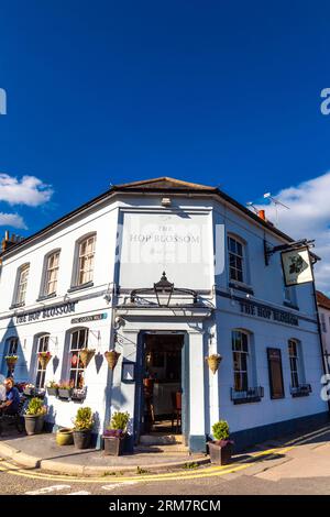 Außenansicht des Hop Blossom Pub in Farnham, Surrey, England Stockfoto