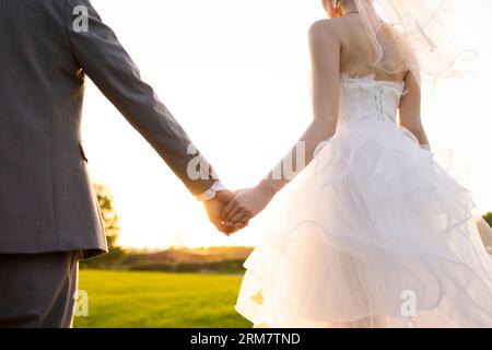 Glückliche Braut und Bräutigam, die Hände halten Stockfoto