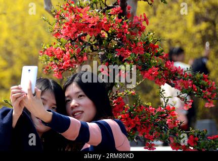 Touristen machen Fotos von sich selbst vor Begonien Blumen im Bishagang Park in Zhengzhou, Hauptstadt der zentralchinesischen Provinz Henan, 22. März 2014. Die steigende Temperatur in Zhengzhou hat in letzter Zeit viele Blumen blühen lassen, was zahlreiche Besucher anzieht. (Xinhua/Li an) (zc) CHINA-HENAN-FRÜHLING-BLUMEN (CN) PUBLICATIONxNOTxINxCHN Touristen machen Fotos von sich selbst vor Begonia Blumen IM Park in Zhengzhou Hauptstadt von Zentralchina S Henan Provinz 22. März 2014 die steigende Temperatur in Zhengzhou hat viele Blumen zur Blüte zugelassen in letzter Zeit zieht zahlreiche Besucher XINHUA nach links Stockfoto