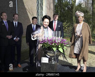 (140323) -- THE HAGUE, March 23, 2014 (Xinhua) -- Chinese President Xi Jinping (back, 3rd L) and his wife Peng Liyuan (front) visit a tulip exhibition, accompanied by Dutch King Willem-Alexander (back, 2nd R) and Queen Maxima (back, 1st R) , at Keukenhof in Lisse, the Netherlands, March 23, 2014. Peng was invited to christen a new strain of tulip the Cathay here on Sunday. (Xinhua/Lan Hongguang) (cjq) NETHERLANDS-CHINA-XI JINPING-PENG LIYUAN-TULIP EXHIBITION-VISIT (CN) PUBLICATIONxNOTxINxCHN   The Hague March 23 2014 XINHUA Chinese President Xi Jinping Back 3rd l and His wife Peng Liyuan Front Stock Photo