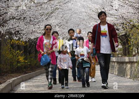 (140326) -- BINZHOU, 26. März 2014 (Xinhua) -- Touristen sehen Kirschblüten auf dem Kirschberg in Zouping County der Stadt Binzhou, ostchinesische Provinz Shandong, 26. März 2014. Die wunderschönen Kirschblüten hier zogen viele Touristen an, um die Landschaft zu sehen. (Xinhua/Zhang Hongxia) (wyl) CHINA-BINZHOU-KIRSCHBLÜTEN (CN) PUBLICATIONxNOTxINxCHN BINZHOU März 26 2014 XINHUA Touristen KIRSCHBLÜTEN AUF dem Kirschberg in Zouping County der Stadt BINZHOU Ostchina S Shan Dong Provinz März 26 2014 die schönen KIRSCHBLÜTEN hier zogen VIELE Touristen nach Come ou Stockfoto