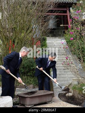 (140330) -- BRUSSELS, March 30, 2014 (Xinhua) -- Chinese President Xi Jinping (R) and Belgian King Philippe shovel soil on a magnolia tree that symbolizes friendship at the Pairi Daiza zoo in Brugelette, Belgium, March 30, 2014. Xi and Belgian King Philippe attended the inauguration of a panda house at the zoo on Sunday. (Xinhua/Ma Zhancheng) (zgp) BELGIUM-BRUSSELS-CHINA-XI JINPING-PANDA HOUSE PUBLICATIONxNOTxINxCHN   Brussels March 30 2014 XINHUA Chinese President Xi Jinping r and Belgian King Philippe shovel Soil ON a Magnolia Tree Thatcher symbolizes friendship AT The Pairi Daiza Zoo in Bru Stock Photo