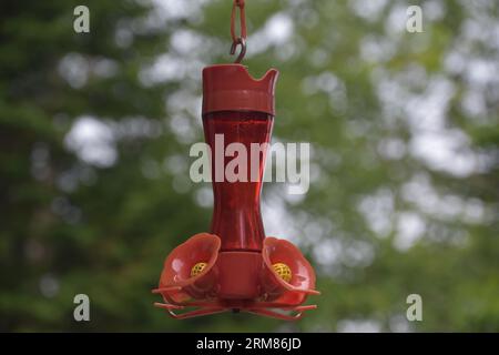 Brillant leuchtend roter Kolibri Feeder hängt von einem Baum herunter. Stockfoto