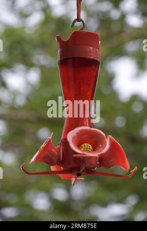 Rote Kolibri Feeder hängt an einem warmen Sommertag unten. Stockfoto