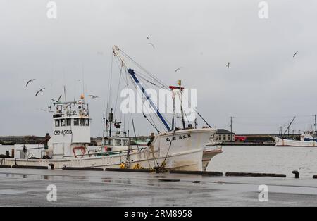 (100228) -- TOKIO, 28. Februar 2010 (Xinhua) -- Fischschiffe ankern an einem Hafen in Kujukuri, Chiba-Ken, Japan, 28. Februar 2010. Die Japan Meteorological Agency gab am Sonntag einen großen Tsunami-Alarm für die Pazifikküste aus, der besagt, dass nach einem starken Erdbeben in Chile ein sehr hoher Tsunami mit Wellen von bis zu 3 Metern in den Gebieten zu erwarten ist. Die erste Welle des Tsunamis traf Japans vorgelagerte Inseln am Sonntag gegen 12:48 Uhr Ortszeit, aber die ersten Wellen waren nur 10 cm hoch.(Xinhua/Ji Chunpeng) (lyx) (4)JAPAN-TOKIO-TSUNAMI-ALARM PUBLICATIONxNOTxINxCHN TOKIO Feb 28 2010 XINHUA Fish Ships Anchor Stockfoto