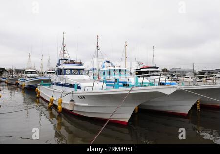 (100228) -- TOKIO, 28. Februar 2010 (Xinhua) -- Fischschiffe ankern an einem Hafen in Kujukuri, Chiba-Ken, Japan, 28. Februar 2010. Die Japan Meteorological Agency gab am Sonntag einen großen Tsunami-Alarm für die Pazifikküste aus, der besagt, dass nach einem starken Erdbeben in Chile ein sehr hoher Tsunami mit Wellen von bis zu 3 Metern in den Gebieten zu erwarten ist. Die erste Welle des Tsunamis traf Japans vorgelagerte Inseln am Sonntag gegen 12:48 Uhr Ortszeit, aber die ersten Wellen waren nur 10 cm hoch.(Xinhua/Ji Chunpeng) (lyx) (3)JAPAN-TOKIO-TSUNAMI-ALARM PUBLICATIONxNOTxINxCHN TOKIO Feb 28 2010 XINHUA Fish Ships Anchor Stockfoto