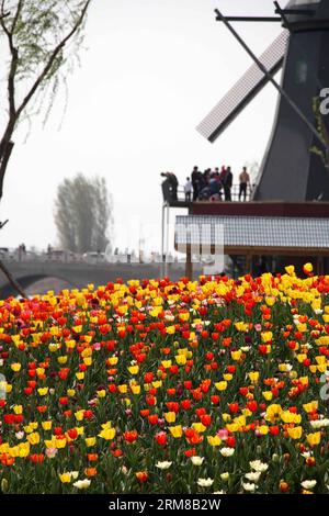 (140406) -- BINZHOU, 6. April 2014 (Xinhua) -- Touristen sehen Tulpenblumen in Binzhou City, ostchinesische Provinz Shandong, 6. April 2014. (Xinhua/Zhang Binbin) (ry) CHINA-SHANDONG-TULPENBLÜTEN (CN) PUBLICATIONxNOTxINxCHN Binzhou 6. April 2014 XINHUA Touristen SEHEN Tulpenblüten in Binzhou Stadt Ostchina S Shan Dong Provinz 6. April 2014 XINHUA Zhang Binbin Ry China Shan Dong Tulpenblüten CN PUxBLINNICxBLN Stockfoto