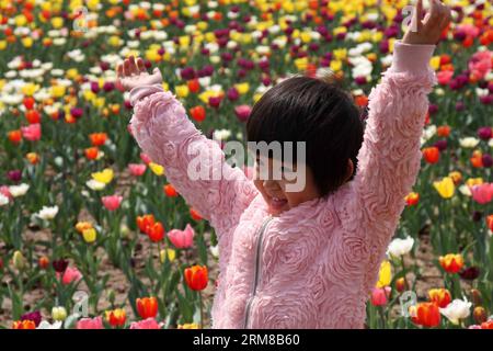 (140406) -- BINZHOU, 6. April 2014 (Xinhua) -- Ein junges Mädchen posiert für Fotos inmitten von Tulpenblüten in Binzhou, ostchinesische Provinz Shandong, 6. April 2014. (Xinhua/Zhang Binbin) (ry) CHINA-SHANDONG-TULPENBLÜTEN (CN) PUBLICATIONxNOTxINxCHN Binzhou 6. April 2014 XINHUA ein junges Mädchen posiert für Fotos inmitten von Tulpenblüten in Binzhou Stadt Ostchina S Shan Dong Provinz April 6 2014 XINHUA Zhang BinRy China Shan Dong PUCHIxCN Blumen Stockfoto