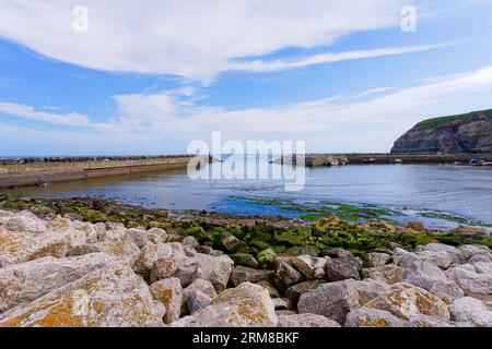 Ebbe im Hafen des kleinen Fischerdorfes Staithes, North Yorkshire. Stockfoto