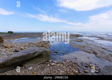 Felsen und Felsenbecken am Staithes Beach in North Yorkshire bei Ebbe. Stockfoto