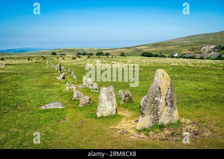 A stone row, one of several Bronze Age monuments around Merrivale on Dartmoor, near Tavistock, Devon. Stock Photo