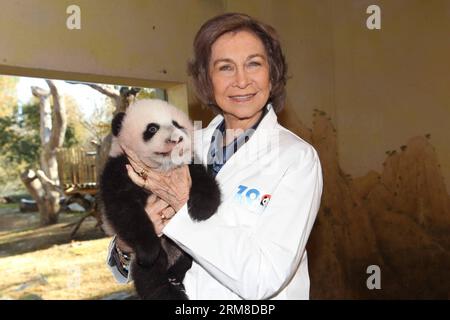 (140409) -- MADRID, April 9, 2014 (Xinhua) -- File photo taken on November 28, 2013 shows Spain s Queen Sofia with giant panda Xing Bao at the zoo in Madrid. Xing Bao was the fourth panda born in the zoo. (Xinhua)(bxq) SPAIN-MADRID-CHINA-PANDA PUBLICATIONxNOTxINxCHN Stock Photo