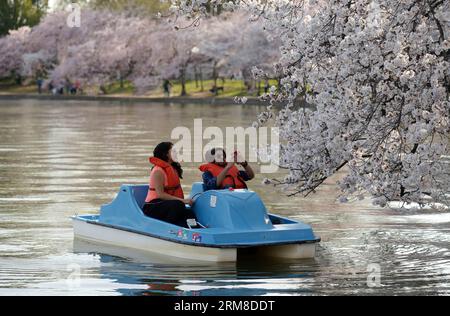 WASHINGTON D.C.,  Tourists paddle boat to enjoy the sight of cherry blossoms on Tidal Basin in Washington D.C., capital of the United States, April 9, 2014. (Xinhua/Yin Bogu) U.S.-WASHINGTON D.C.-CHERRY BLOSSOMS PUBLICATIONxNOTxINxCHN   Washington D C tourists PADDLE Boat to Enjoy The Sight of Cherry Blossoms ON Tidal Basin in Washington D C Capital of The United States April 9 2014 XINHUA Yin Bogu U S Washington D C Cherry Blossoms PUBLICATIONxNOTxINxCHN Stock Photo