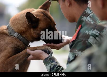 (140415) -- NANJING, 15. April 2014 (Xinhua) -- Ein Hundeführer ernährt seinen Hund in einer Polizeistation der bewaffneten Polizei am Stadtrand von Nanjing, Hauptstadt der ostchinesischen Provinz Jiangsu, 15. April 2014. Es gibt 12 Polizeihunde in der Basis, die für Sicherheitswachen, Rettungs- und Terrorismusbekämpfungsmissionen verantwortlich sind. (Xinhua/Li Ke) (hdt) CHINA-JIANGSU-POLICE DOG-TRAINING (CN) PUBLICATIONxNOTxINxCHN Nanjing 15. April 2014 XINHUA ein Handler ernährt seinen Hund IN einer PolizeihundeTrainingsbasis der bewaffneten Polizei AM Rande der Nanjing-Hauptstadt der ostchinesischen Provinz Jiangsu. April 2014 es gibt 12 Polizeihunde Stockfoto