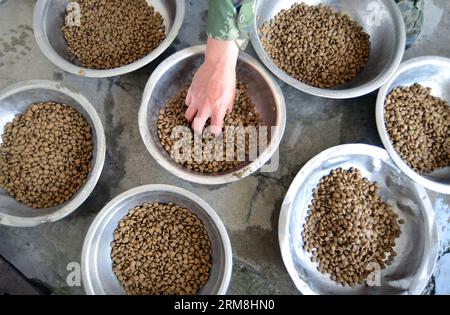 (140415) -- NANJING, 15. April 2014 (Xinhua) -- Ein Hundeführer bereitet Futter für Hunde auf einer Polizeistation der bewaffneten Polizei am Stadtrand von Nanjing, der Hauptstadt der ostchinesischen Provinz Jiangsu, am 15. April 2014 vor. Es gibt 12 Polizeihunde in der Basis, die für Sicherheitswachen, Rettungs- und Terrorismusbekämpfungsmissionen verantwortlich sind. (Xinhua/Li Ke) (hdt) CHINA-JIANGSU-POLICE DOG-TRAINING (CN) PUBLICATIONxNOTxINxCHN Nanjing 15. April 2014 XINHUA A Handler bereitet Nahrung für Hunde IN einer PolizeihundeTrainingsbasis der bewaffneten Polizei AM Rande der Hauptstadt Nanjing der ostchinesischen Provinz S Jiangsu AM 15. April 2014 dort vor Stockfoto