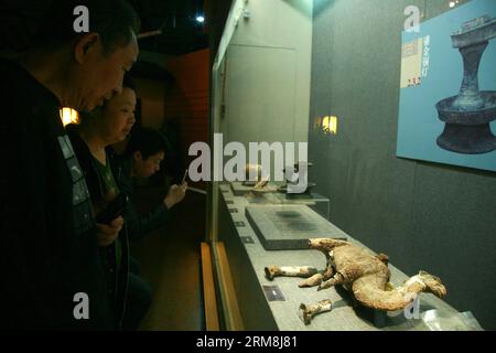 (140416) -- YANGZHOU, 16. April 2014 (Xinhua) -- Besucher sehen eine Kamelfigur in einer Ausstellung, die Relikte aus dem Grab von Kaiser Yang der Sui-Dynastie (581-618) und seiner Königin zeigt, im Yangzhou Museum, Yangzhou, Ostchinesische Provinz Jiangsu, 16. April 2014. Die dreimonatige Ausstellung wurde hier am Mittwoch eröffnet. Yang Guang, der zweite und letzte Monarch der kurzlebigen Sui-Dynastie, wurde während einer Meuterei 618 n. Chr. getötet, die das Ende der Dynastie markierte. (Xinhua/Cui Genyuan) (hdt) CHINA-JIANGSU-YANGZHOU-KULTURELLE RELIQUIENAUSSTELLUNG (CN) PUBLICATIONxNOTxINxCHN Yang Zhou Stockfoto