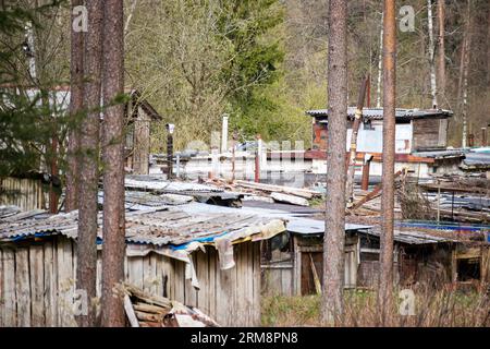 Alte Holzscheunen im Wald Stockfoto