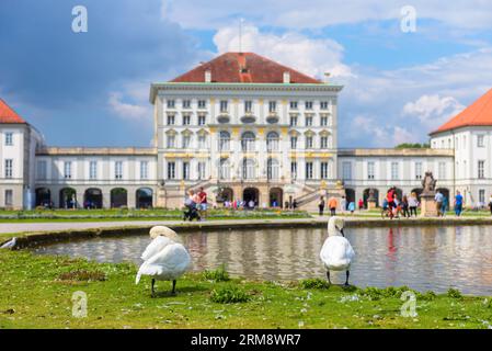 Schwäne in der Nähe von Schloss Nymphenburg im Sommer, München, Deutschland, Europa. Dieser Ort ist ein Wahrzeichen Münchens. Barocke Architektur Münchens auf verschwommenem bac Stockfoto