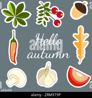 Set of autumn stickers with harvest, acorn and berries. Social network stickers.Vector illustrations for online communication. Stock Vektor