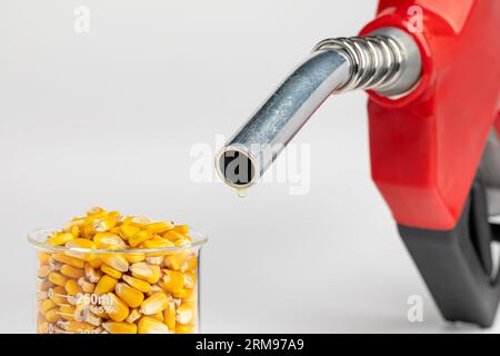 Ethanol-Benzin tropft mit Mais aus der Kraftstoffdüse. Konzept für Biokraftstoffe, erneuerbare Energien und Landwirtschaft. Stockfoto