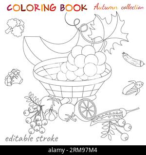 Herbstkollektion. Trauben im Korb und Gemüse mit Kürbis. Stillleben im Herbst. Vorlage zur Entspannungsfärbung. Editierbare Vektorillustration. Stock Vektor