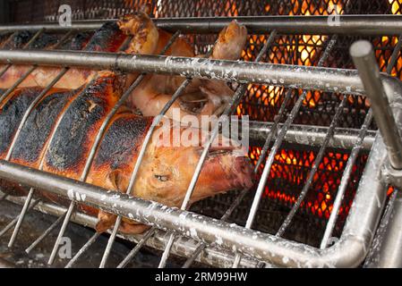 Nahaufnahme eines ganzen Schweins, das auf einem offenen Holzkohlefeuer geröstet wird. Vorbereitung auf ein Barbecue irgendwo in Frankreich. Hochauflösendes Bild mit Copyspace IF Stockfoto