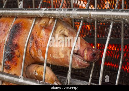 Nahaufnahme eines ganzen Schweins, das auf einem offenen Holzkohlefeuer geröstet wird. Vorbereitung auf ein Barbecue irgendwo in Frankreich. Hochauflösendes Bild mit Copyspace IF Stockfoto