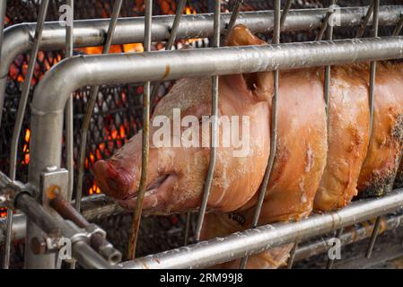Nahaufnahme eines ganzen Schweins, das auf einem offenen Holzkohlefeuer geröstet wird. Vorbereitung auf ein Barbecue irgendwo in Frankreich. Hochauflösendes Bild mit Copyspace IF Stockfoto