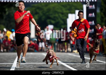 Hunde und ihre Besitzer nehmen am 18. Mai 2014 am Dog Run in Jakarta, Indonesien, Teil. Der Dog Run ist ein Rennen für Besitzer und ihre Hunde. (Xinhua/Veri Sanovri) INDONESIA-JAKARTA-DOG RUN PUBLICATIONxNOTxINxCHN Hunde und ihre Besitzer nehmen am Dog Run Event in Jakarta, Indonesien, 18. Mai 2014, Teil. Das Dog Run Event IST ein Rennen für Besitzer und ihre Hunde XINHUA Veri Indonesia Jakarta Dog Run PUBLICATIONxNOTxINxCHN Stockfoto