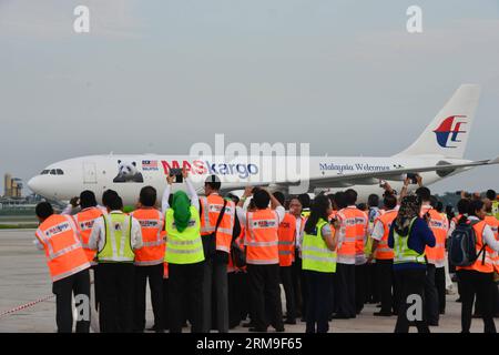 (140521) -- KUALA LUMPUR, 21. Mai 2014 (Xinhua) -- Menschen begrüßen das Flugzeug mit zwei riesigen Pandas aus China am Kuala Lumpur International Airport in Malaysia, 21. Mai 2014. Ein Paar riesiger Pandas aus China kam am Mittwochmorgen mit einem 10-jährigen Darlehen hierher, zeitgleich mit der Feier des 40. Jahrestages der Aufnahme diplomatischer Beziehungen zwischen China und Malaysia. (Xinhua/Chong Voon Chung)(Axy) MALAYSIA-KUALA LUMPUR-CHINESISCHER RIESE PANDA-ARRIVAL PUBLICATIONxNOTxINxCHN Kuala Lumpur 21. Mai 2014 XINHUA Prominente Willkommen IM Flugzeug mit zwei riesigen Pandas aus China BEI Stockfoto
