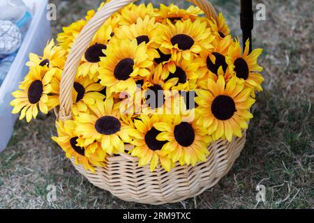 Portland, USA. 26. August 2023. Sonnenblumen sind ein nationales Symbol der Ukraine. Eine Koalition ukrainischer Organisationen und ihrer Unterstützer versammelte sich am 26. August 2023 in Portland, dem Westmoreland Park von Oregon, um die ukrainische Kultur mit Musik, Tanz, Essen und Kunst zu feiern; aber trotz der beabsichtigten Freude an diesem Anlass waren die Gedanken an die russische Invasion allgegenwärtig. (Foto: John Rudoff/SIPA USA) Credit: SIPA USA/Alamy Live News Stockfoto