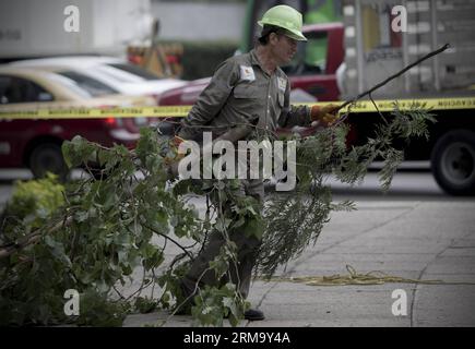 (140606) -- MEXIKO-STADT, 5. Juni 2014 (Xinhua) -- Ein Arbeiter trägt eine Niederlassung am Weltumwelttag in Mexiko-Stadt, Hauptstadt von Mexiko, 5. Juni 2014. Der Weltumwelttag wird jedes Jahr am 5. Juni gefeiert, der von den Vereinten Nationen ins Leben gerufen wurde, um das globale Bewusstsein für Umweltfragen zu fördern. (Xinhua/Alejandro Ayala)(zhf) MEXIKO-MEXIKO STADT-WELT UMWELT-TAG PUBLICATIONxNOTxINxCHN Mexiko-Stadt 5. Juni 2014 XINHUA A Worker trägt eine Niederlassung AUF dem WELTUMWELTTAG in Mexiko-Stadt Hauptstadt von Mexiko 5. Juni 2014 der WELTUMWELTTAG WIRD jedes Jahr AM 5. Juni von gegründet Stockfoto