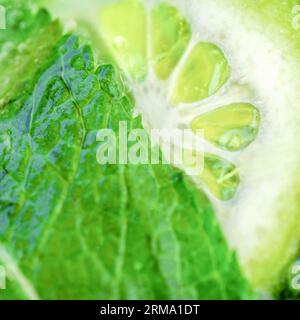 Limette und Minze. Nahaufnahme von frischen Limetten- und Minzblättern. Mojito-Cocktail Stockfoto