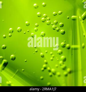 Grüne Blasen auf grünem Hintergrund. Sauerstoffblasen in der Flasche mit Wasser oder Getränken. Selektiver Fokus auf die Mitte mit geringer Schärfentiefe Stockfoto