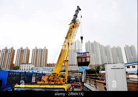 (140611) -- HARBIN, 11. Juni 2014 (Xinhua) -- Menschen bringen einen Belugawal bei seiner Ankunft im Landhafen Suifenhe, nordöstliche Provinz Heilongjiang, 10. Juni 2014. Nach einer 20-stündigen Fahrt wurden drei Weißwale aus Russland am Mittwoch in den Harbin Polarland Themenpark im nordöstlichen Harbin transportiert. (Xinhua/Wang Jianwei) (wf) CHINA-HARBIN-BELUGA-TRANSPORT (CN) PUBLICATIONxNOTxINxCHN Harbin 11. Juni 2014 XINHUA Prominente bringen einen Beluga-Wal BEI seiner Ankunft IM Landehafen Suifenhe Nordostchina S Heilongjiang Provinz 10. Juni 2014 nach 20 Stunden S Driv Stockfoto