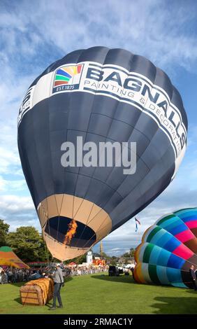 Hot-air balloons being inflated prior to lift-off during Strathaven Balloon Festival 2023 in Strathaven Park, South Lanarkshire, Scotland. Stock Photo