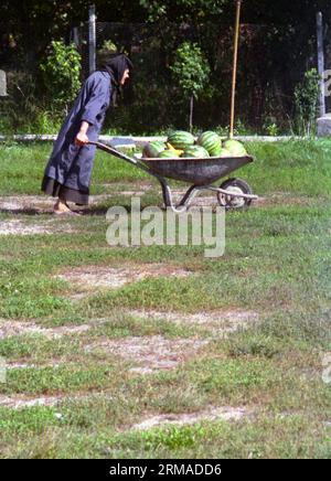 Kloster Vladimiresti, Kreis Galati, Rumänien, 1999. Ältere Nonne mit einer schweren, mit Wassermelonen gefüllten Schubkarre. Stockfoto