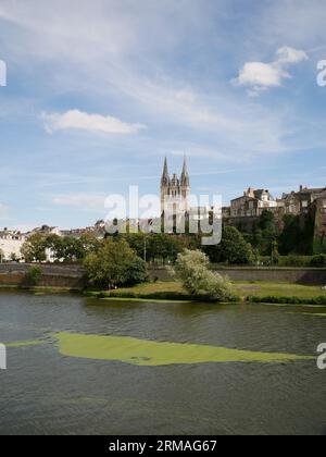Blick über den Fluss Maine bis zur Cathédrale Saint-Maurice d'Angers. Angers, Frankreich. Stockfoto