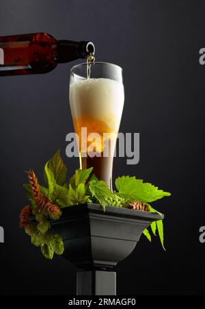 Bier wird aus einer Flasche in ein Glas gegossen. Bier mit grünem Hopfen und Weizenohren auf schwarzem Hintergrund. Stockfoto