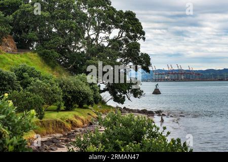 Mauao Historic Reserve, Mount Maunganui Base Track, Bay of Plenty, Hafen von Tauranga, Neuseeland Stockfoto