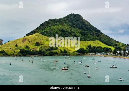 Mount Maunganui, Mauao Historic Reserve, Bay of Plenty, Tauranga Harbour, Neuseeland Stockfoto