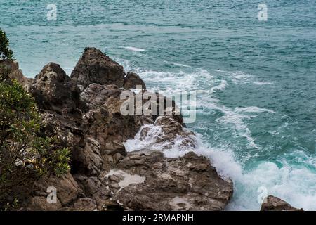 Felsige Küste von Bay of Plenty, Mount Maunganui Base Track, Hafen von Tauranga, Neuseeland Stockfoto