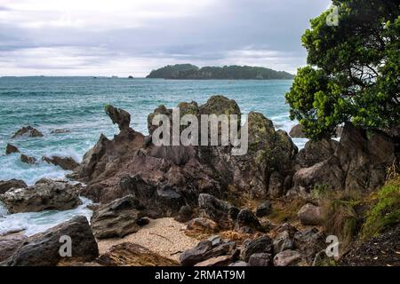 Felsige Küste von Bay of Plenty, Mount Maunganui Base Track, Hafen von Tauranga, Neuseeland Stockfoto