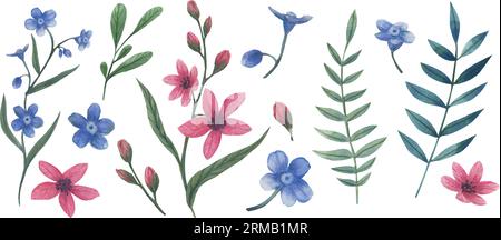 Vektor-Blumenillustration. Frühlingsblumen, vergiss mich nicht isoliert im Aquarellstil. Handgemachte Blumen zum Hochzeitstag, Geburtstag Stock Vektor