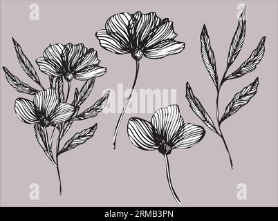 Botanische Komposition mit Blumen, Zweigen und Blättern. Satz von Vektor-handgezeichneten Illustrationen von Konturen im Doodle-Stil. Designelemente für Stock Vektor