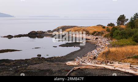 Die Küste im Brooks Point Regional Park auf South Pender Island in British Columbia, Kanada. Stockfoto