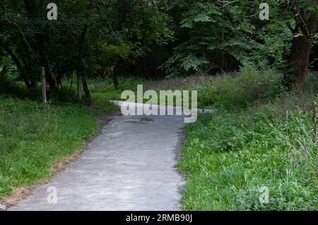 Die alte Asphaltstraße führt in die Entfernung zwischen grünem Gras und Bäumen Stockfoto